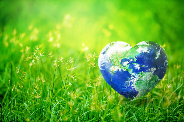 Earth in Heart shape on green grass on sunlight, Love and Save the World for the Next Generation concept, Earth day concept, Elements of this image furnished by NASA, http://earthobservatory.nasa.gov/IOTD/view.php?id=885